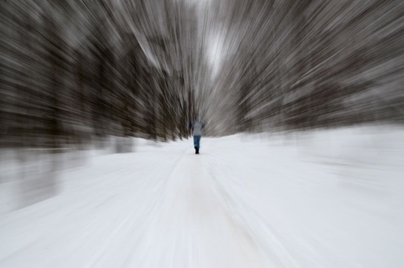 Illustration for article titled Zoom Photo Challenge Gallery 2